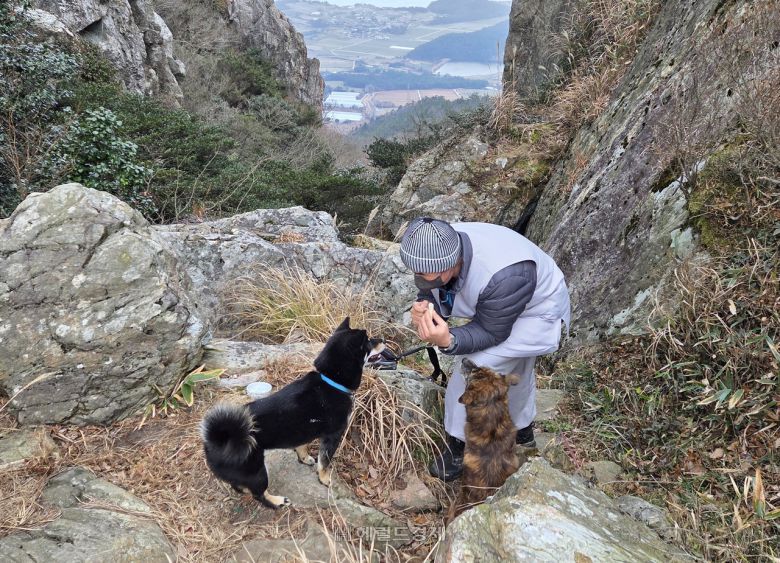 해남 미황사 주지 향문 스님과 아미, 타미