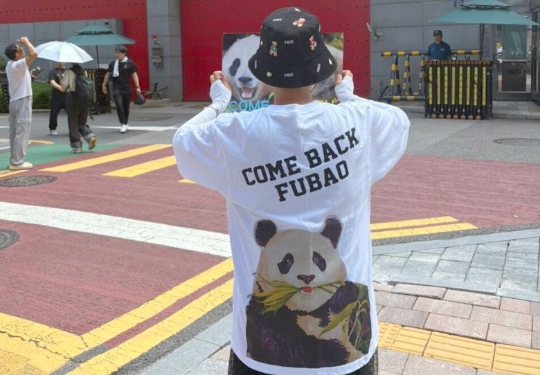푸바오 팬들의 ‘컴백 푸바오’ 캠페인 모습