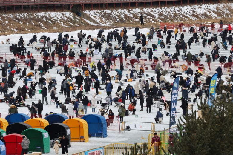평창송어축제 강태공 인파. 지난해 모습.
