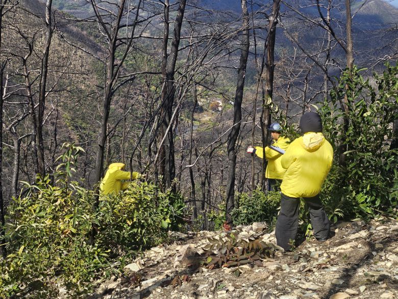 경북 안동 고운사 사찰림 산불 피해지역에서 이규송 강릉원주대 생물학과 연구팀이 식생조사를 하고 있다. 김광우 기자.