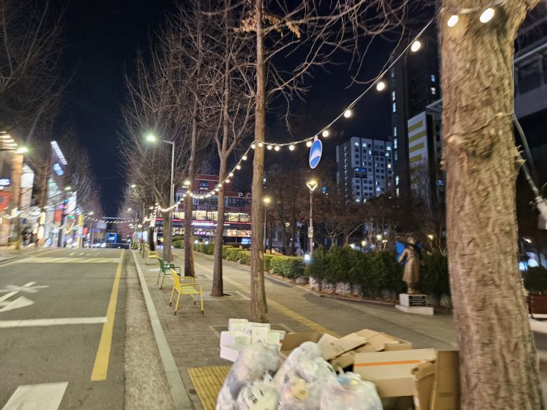 서울 서대문구 한 거리, 가로수에 설치된 조명이 빛나고 있다. 김광우 기자.