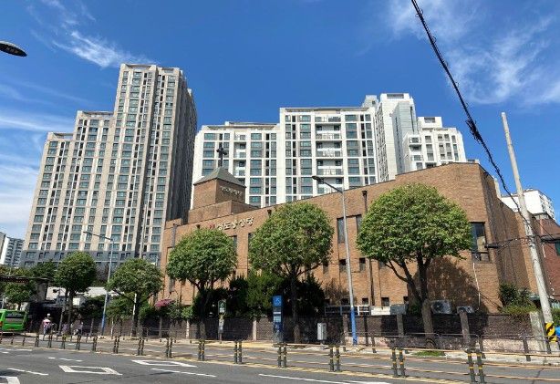 서울 동작구 상도동 은행나무. [서울시 제공]