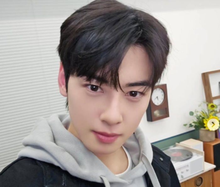 배우 차은우 [차은우 인스타그램]