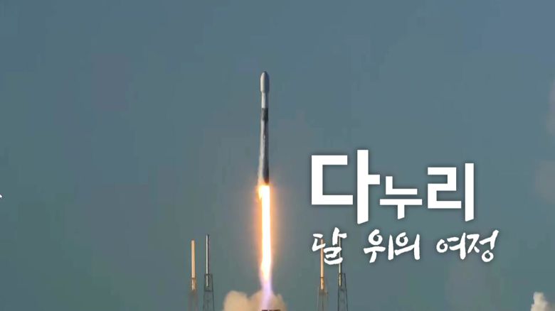 YTN
