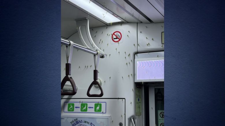 YTN