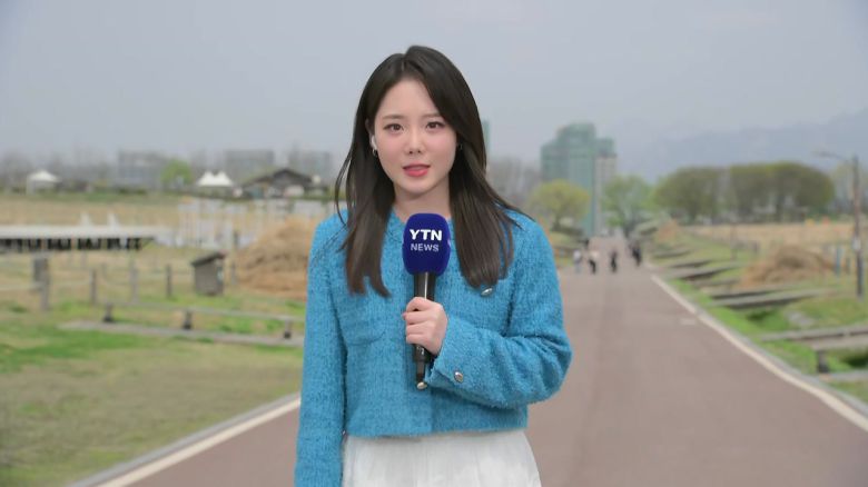 YTN