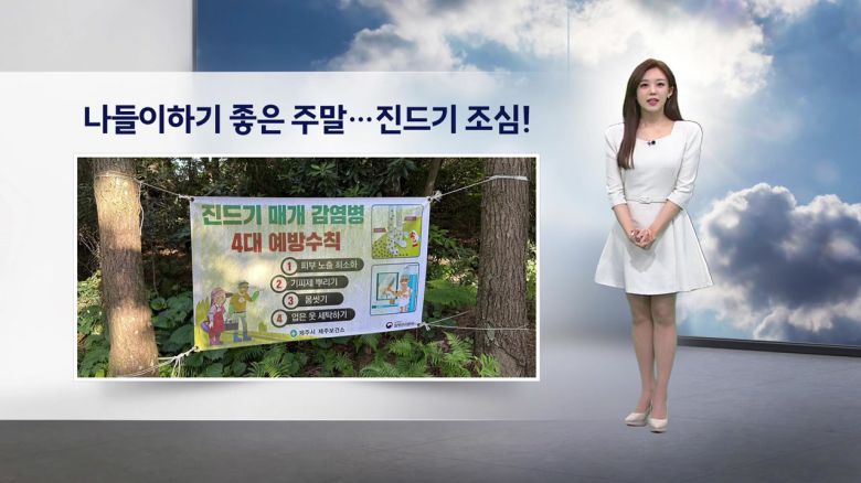 YTN