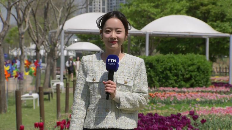 YTN