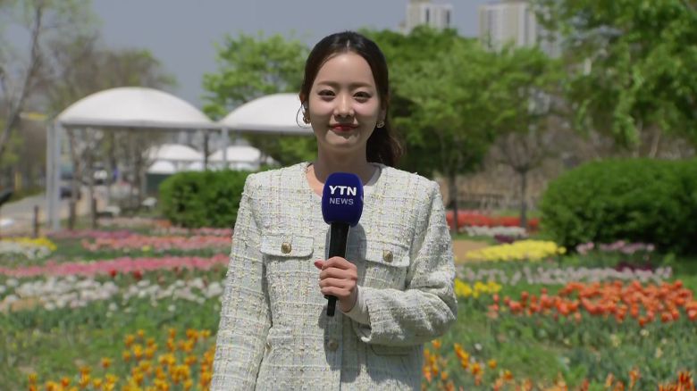 YTN