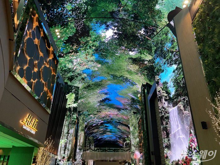 150m 길이의 대형 LED로 꾸며진 몰입형 디지털 엔터테인먼트 거리 '오로라' 사진=김민지 기자 kmj@newsway.co.kr