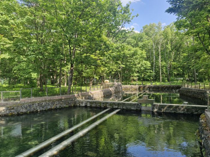 농심 백산수의 수원지 내두천. 내두천은 백두산 해발고도 670m에 위치하고 있다. 농심은 올해부터 국내시장을 타깃으로 백두산 천지부터 내두천 수원지까지 '자연정수기간 40년'을 강조한 캠페인을 전개하고 있다./사진=조효정기자