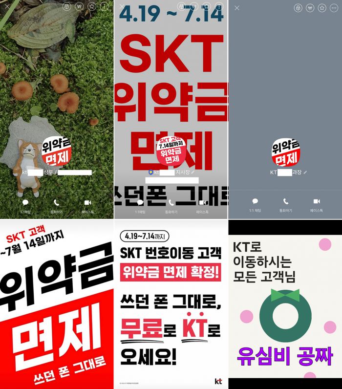 KT 직원들 프로필 사진. 그래픽=박혜수 기자