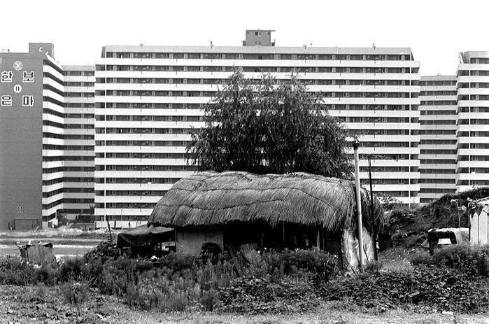 1980년대 강남 대치동 은마아파트 앞