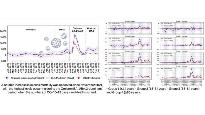 2020-2022년 초과 사망자 분석 결과