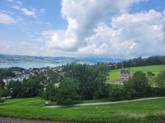 남 작가의 어머니의 유골이 뿌려진 언덕. 남 작가의 어머니는 자신의 유골이 스위스에 남겨지길 원했다. 사진 제공 : 남유하 작가