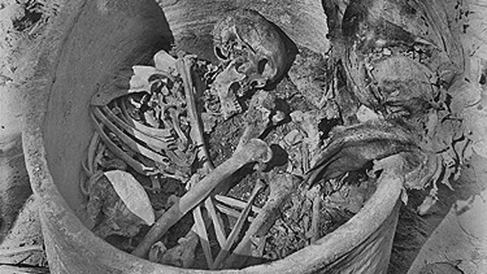 대략 기원전 2855∼2570년에 살았던 것으로 추정되는 고대 이집트 남성의 시신이 담겨 있는 이집트 누와이라트 소재 암반 무덤 속 도기의 모습.