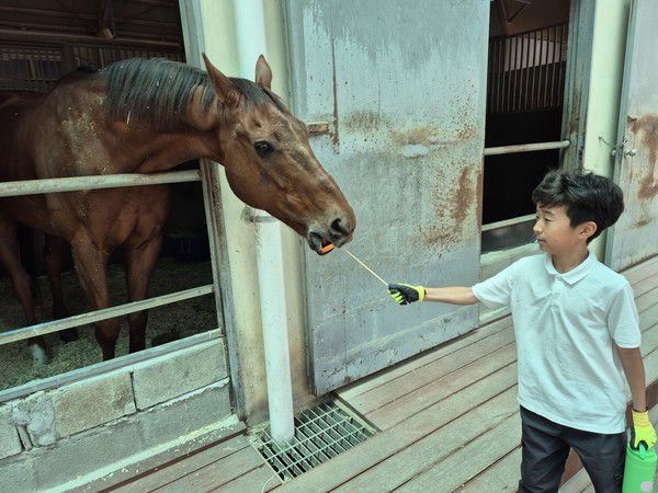 예산 수덕초, 자연 속 교실, 말 위에서 배우는 특별한 수업