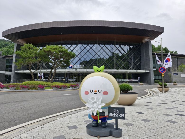 국립괴산호국원은 6월 호국보훈의 달과 6·25전쟁 75주년을 맞아 국가보훈부 대표 캐릭터인 '보보(保報)' 조형물을 25일 현충관 진입로에 설치했다.