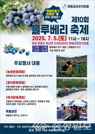 ‘10회 블루베리 축제’포스터.