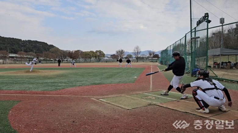 서구청장기 야구대회 경기 장면