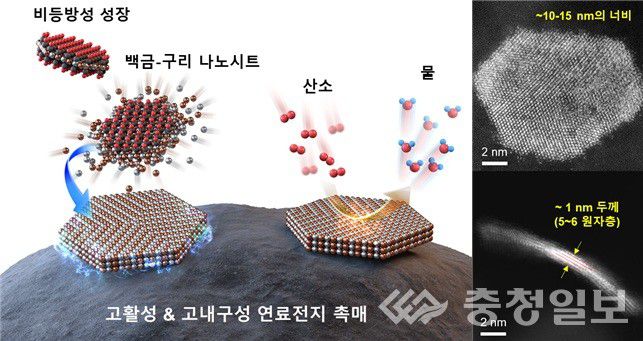 초박막 나노시트 합성 모식도와 제작된 촉매의 투과전자현미경 이미지