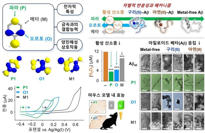 저분자 화합물의 위치 이성질체에 따른 알츠하이머병의 다중 발병 기전에 대한 차별적 반응성 및 메커니즘