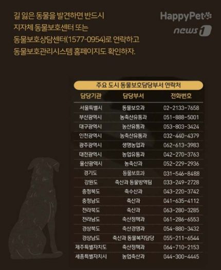 지자체 동물보호담당부서 연락처 © 뉴스1