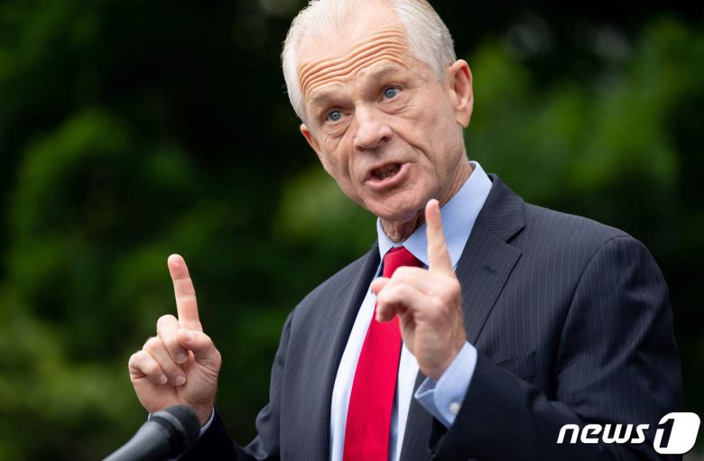 피터 나바로 미국 백악관 무역제조업정책국장 © AFP=뉴스1