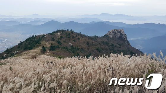 20일 전남 장흥군 천관산 정상 억새평원에서 보이는 다도해의 아름다운 풍경이 천관산 기암괴석, 억새와 어우러져 최고의 장관을 이루고 있다. 장흥군 제공 © News1