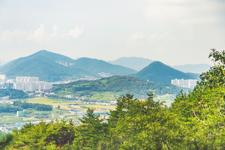 호랑산둘레길 곳곳에서 만나는 여수 시내 풍경