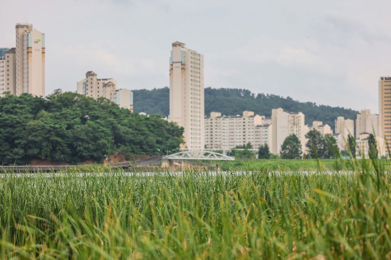 수원팔색길의 잘 정비된 산책로