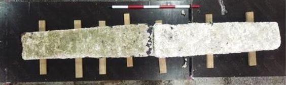 제주 신창리 해역에서 발견된 닻돌.(국립해양문화재연구소 제공)© 뉴스1