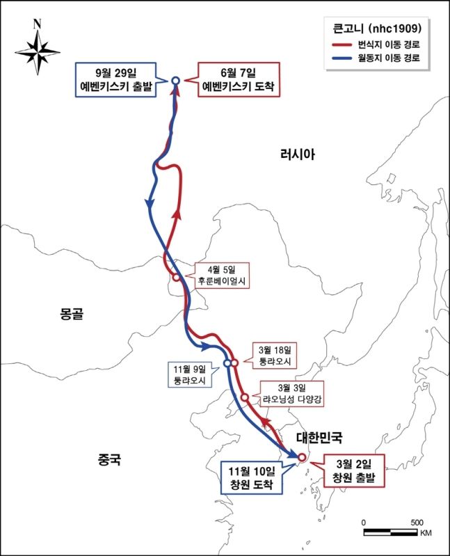큰고니 이동경로.(국립문화재연구소 제공)© 뉴스1