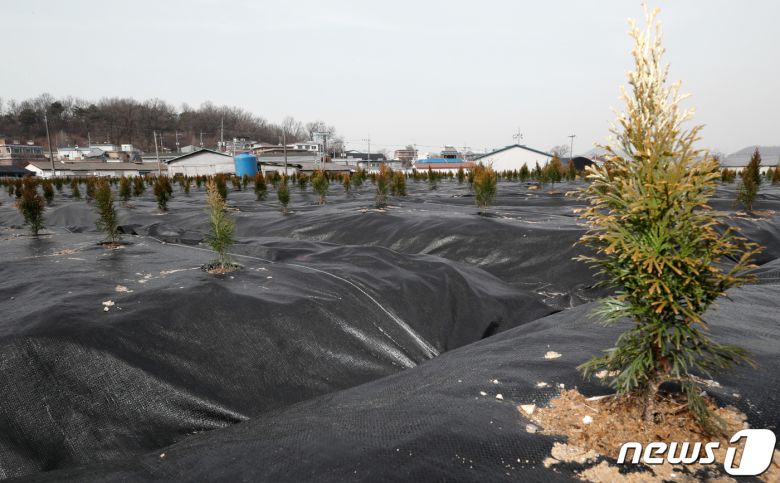 문재인 대통령은 3일 정부가 신규택지 후보지로 발표한 광명·시흥 지구에 한국토지주택공사(LH) 직원들의 투기 의혹과 관련, 국토부 및 LH 관계공공기관 등에 대한 전수조사를 지시했다. 사진은 LH직원들이 사들인 경기도 시흥시 과림동 소재 농지의 모습. 2021.3.3/뉴스1 © News1 조태형 기자