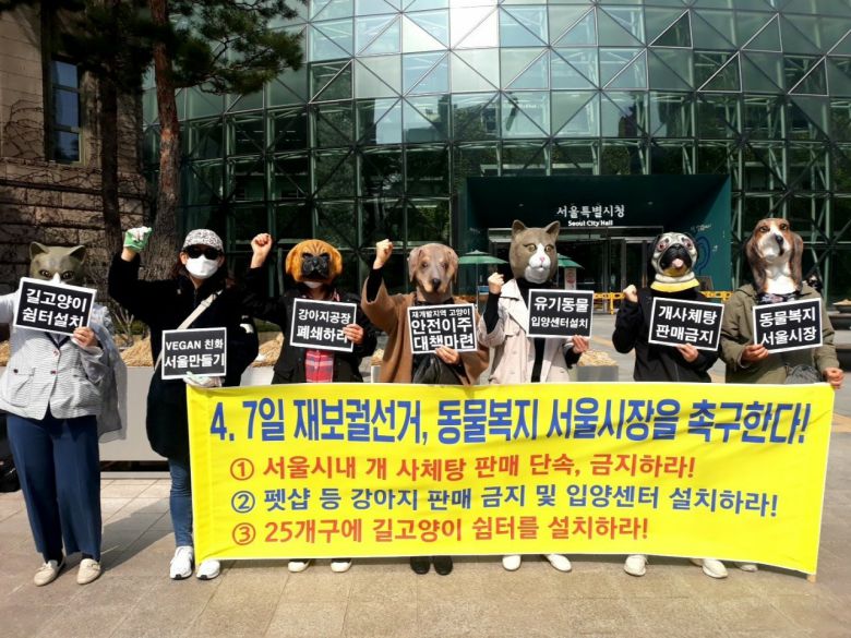 한국동물보호연합 등 45개 동물보호단체가 11일 서울시청 앞에서 기자회견을 한 뒤 구호를 외치고 있다. © 뉴스1(한국동물보호연합 제공)