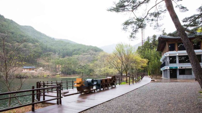 천은사 상생의길© 뉴스1