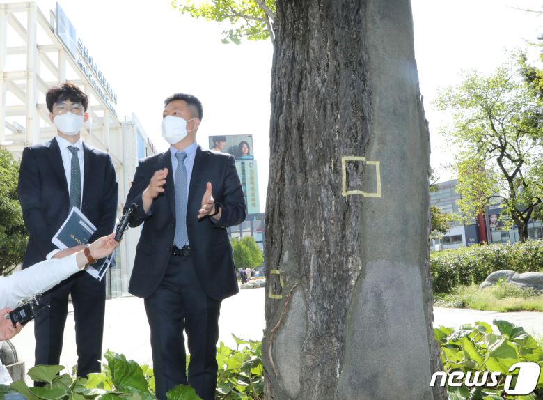 13일 오후 광주 동구 광산구 옛전남도청에서 열린 '옛전남도청 탄흔조사 대국민 설명회'에서 옛전남도청복원추진단이 탄흔 현장을 설명하고 있다. 도청 앞 은행나무에도 탄흔이 남아있는 모습이다. 2021.4.13/뉴스1 © News1 이수민 기자