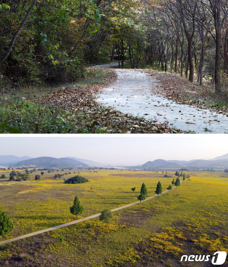 구미 걷기 좋은길 9선에 선정된 선산뒷골 명상길(위)과 낙동강변길 (구미시 제공) 2021.6.8/© 뉴스1