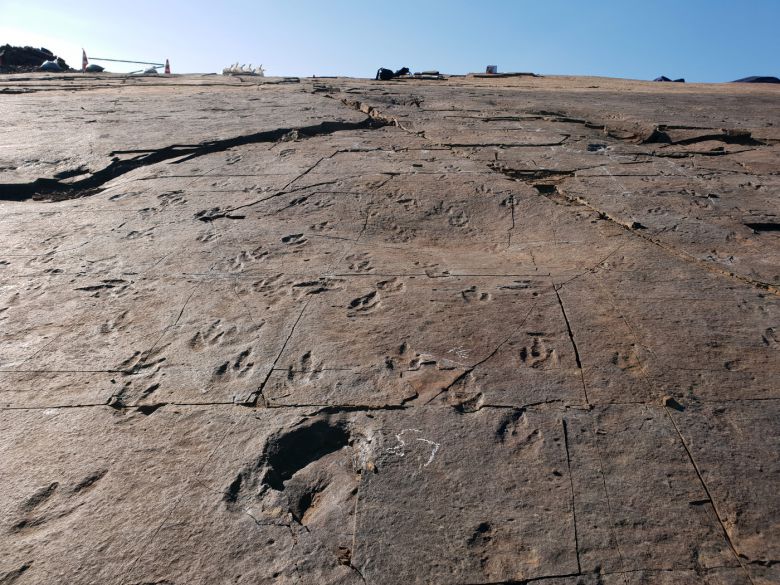 정촌 화석산지. 문화재청 제공