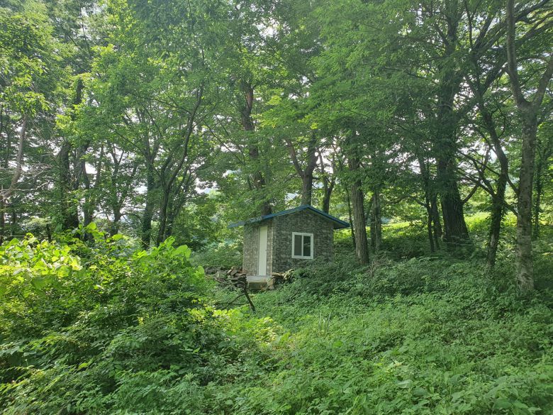 영양 송하리 졸참나무와 당숲