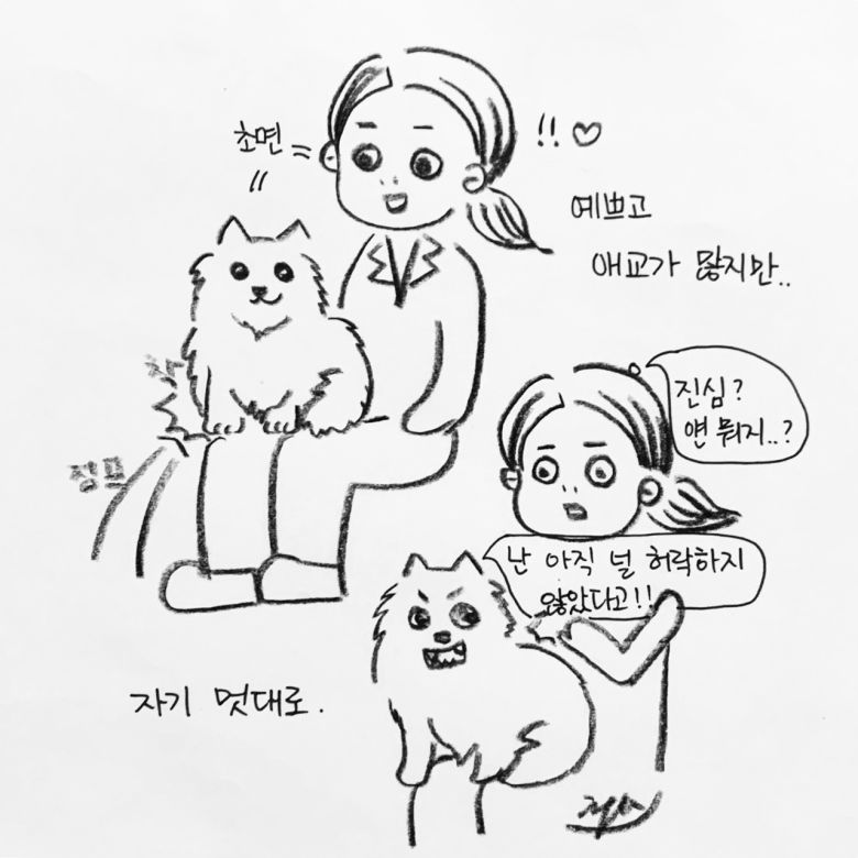 해피펫툰 © 뉴스1