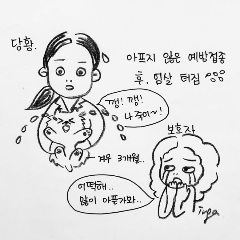 해피펫툰 © 뉴스1