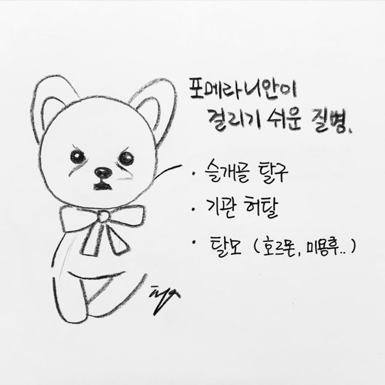 해피펫툰 © 뉴스1