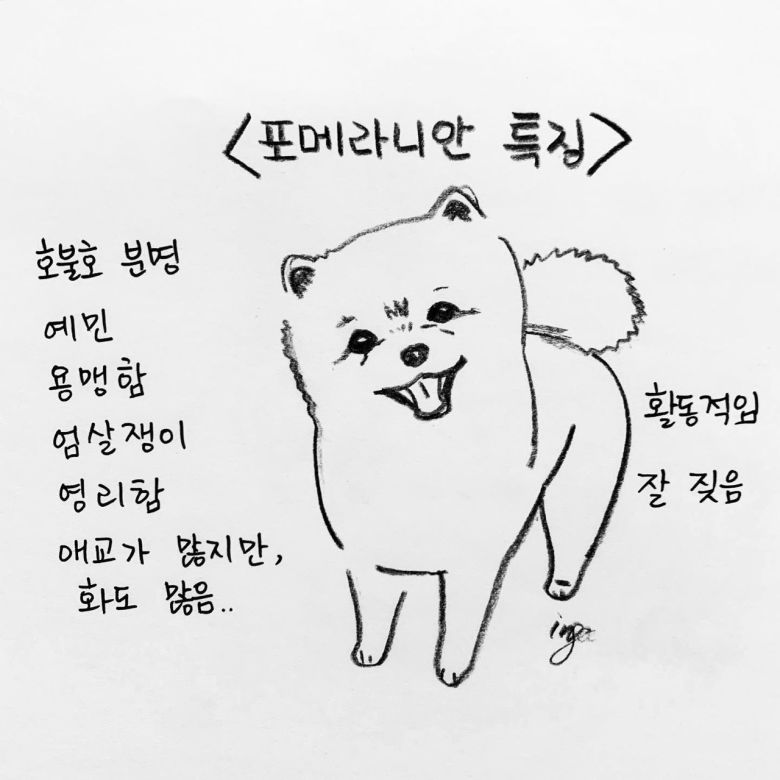 해피펫툰 © 뉴스1