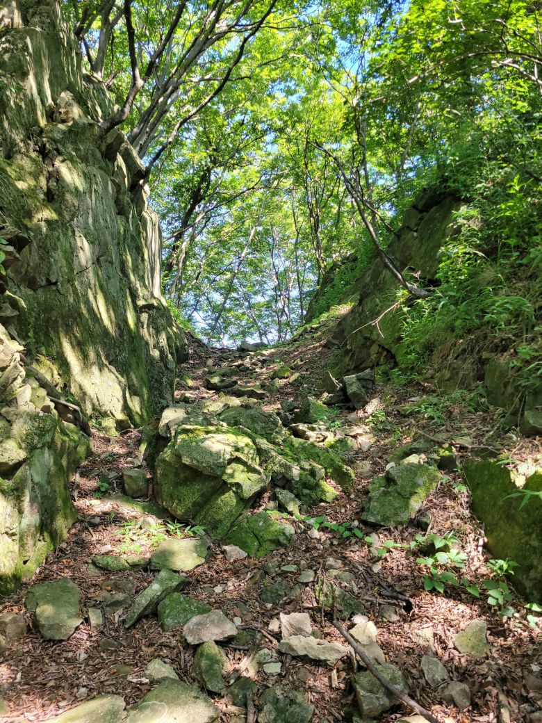 삼남대로 갈재 정상. 문화재청 제공