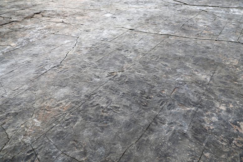 정촌 화석산지는 여타 다른 나라의 많은 공룡 발자국 화석산지에 비해 양적, 질적 측면에서 독보적인 사례다. 문화재청 제공