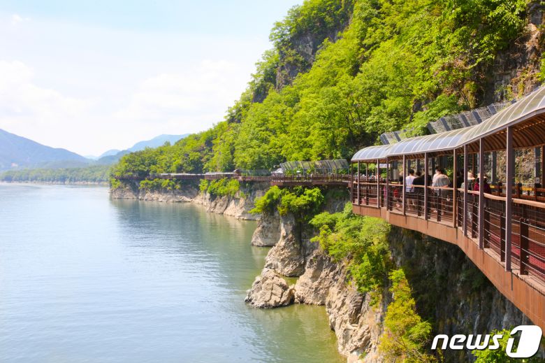 2017년 개통된 한국판 잔동로 알려진 단양강잔도가 최근 단풍이 물드면서 관광객들의 발길이 이어지고 있다.(단양군 제공)© 뉴스1