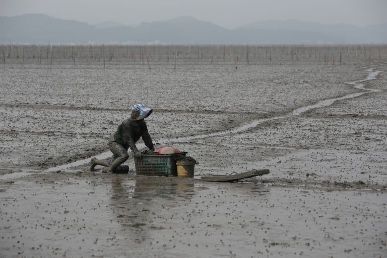 뻘배를 이용해 갯벌로 이동하는 모습. 문화재청 제공