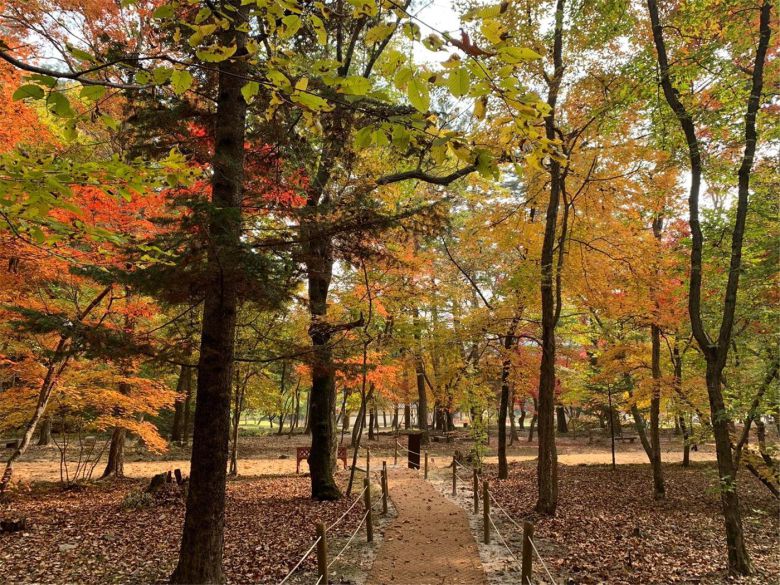 동구릉 숲길. 문화재청 제공