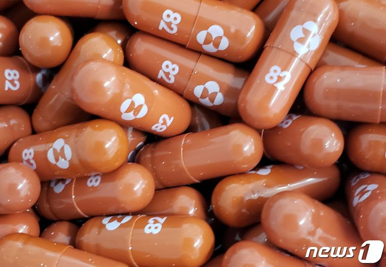 머크사가 개발한 경구용 신종 코로나바이러스 감염증(코로나19) 치료제 몰누피라비르. © 로이터=뉴스1 © News1 노선웅 기자